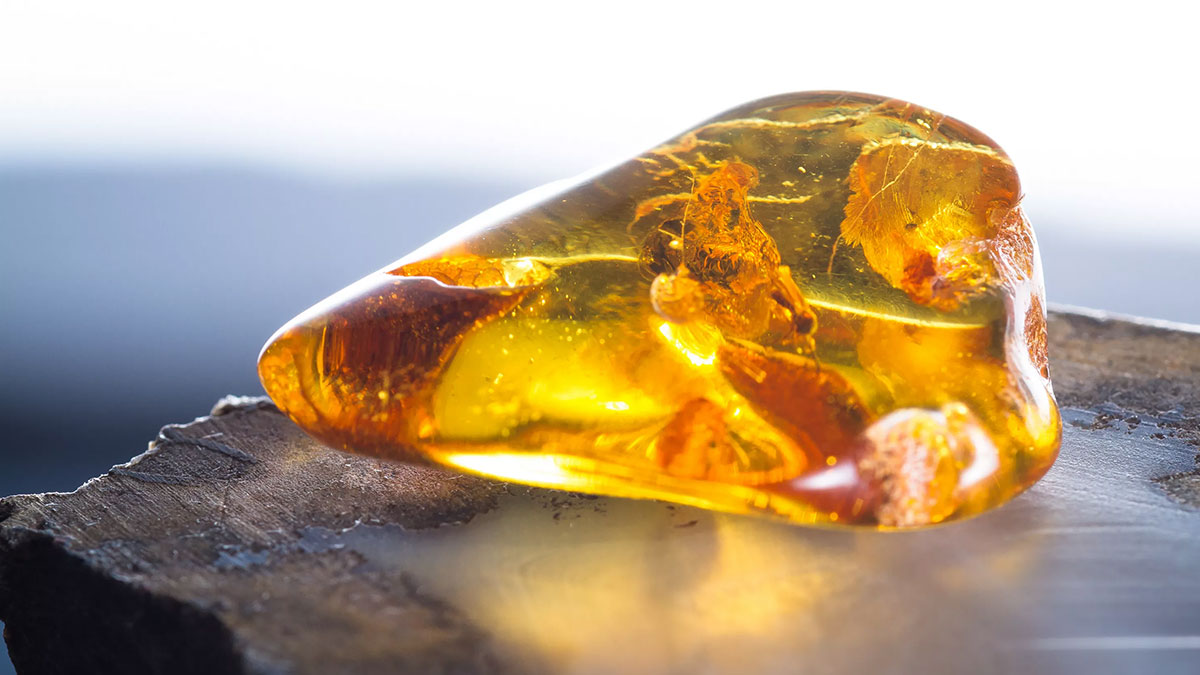 Янтарь.jpg